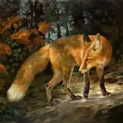 Red Fox